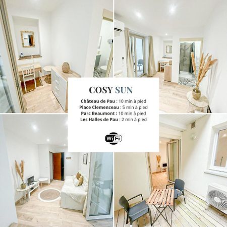 Cosy Sun - 1Ch - Avec Patio Privatif Διαμέρισμα Pau Εξωτερικό φωτογραφία